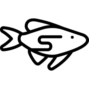 Pescados